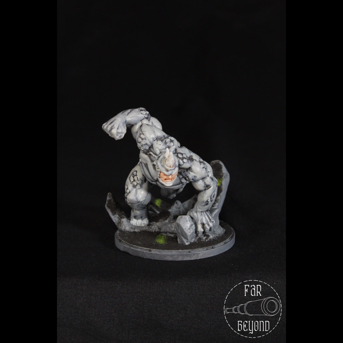Rhino Miniature