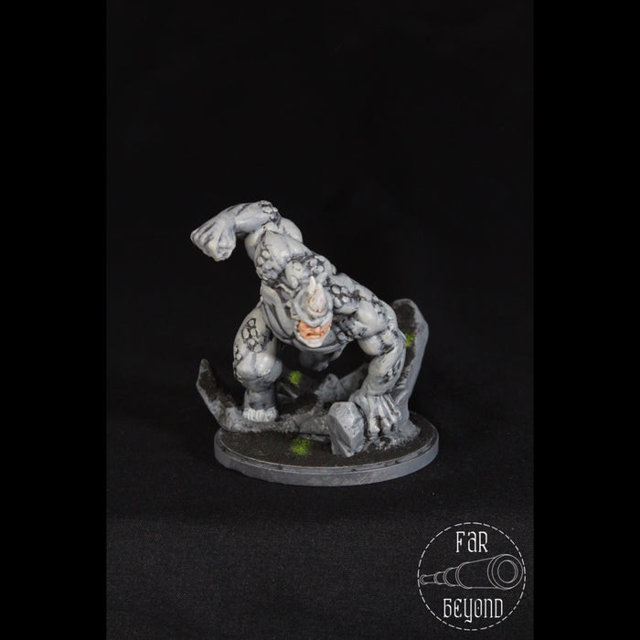 Rhino Miniature