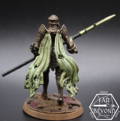 Black Grail Plague Knight